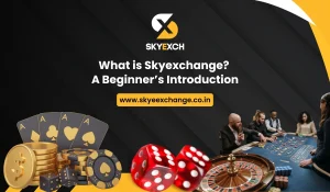 What is Skyexchange_ A Beginner’s Introduction