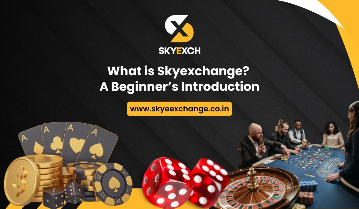 What is Skyexchange_ A Beginner’s Introduction